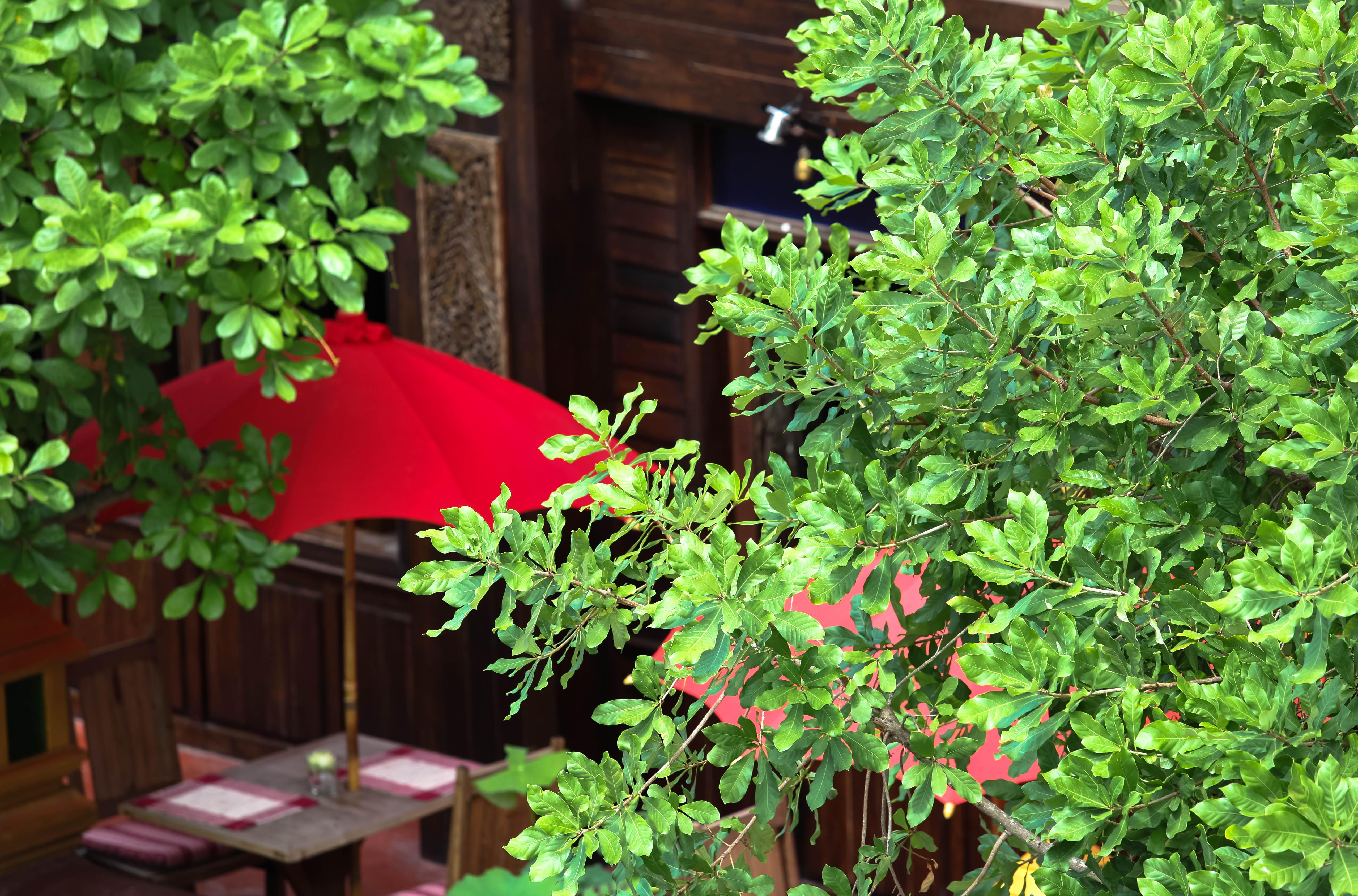Singha Montra Lanna Boutique Style Hotel Chiang Mai Extérieur photo