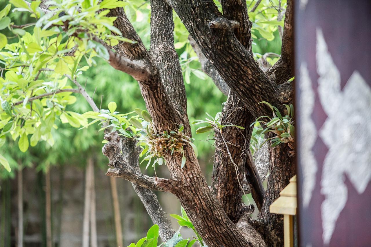 Singha Montra Lanna Boutique Style Hotel Chiang Mai Extérieur photo